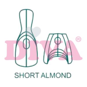 Sandwich Shapes Short