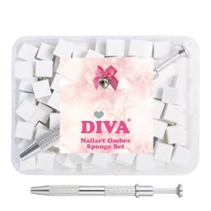 DIVA Ombre Sponge Set